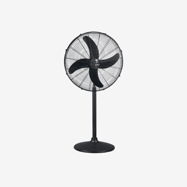 TCP Model | 220V Pedestal
